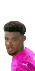 拉莫兹