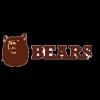 老挝熊FC