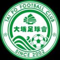 大埔后备队