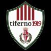 蒂弗诺1919