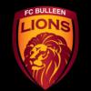 布琳狮子U21