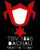 TVS达豪1865